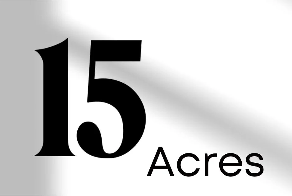 The BITRA REALTY Story