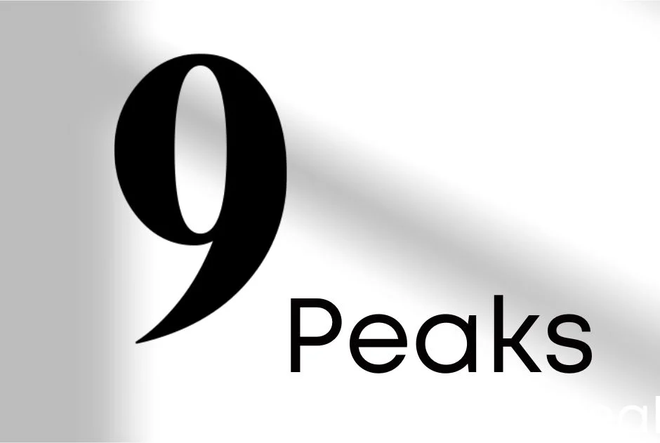 The BITRA REALTY Story