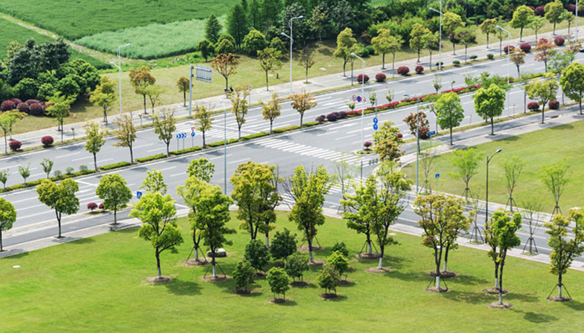 The BITRA REALTY Story