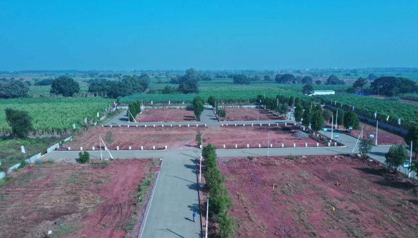 Fortune Town Gallery