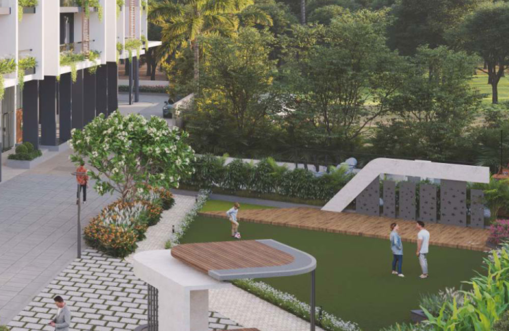 Verdant Bayleaf Gallery